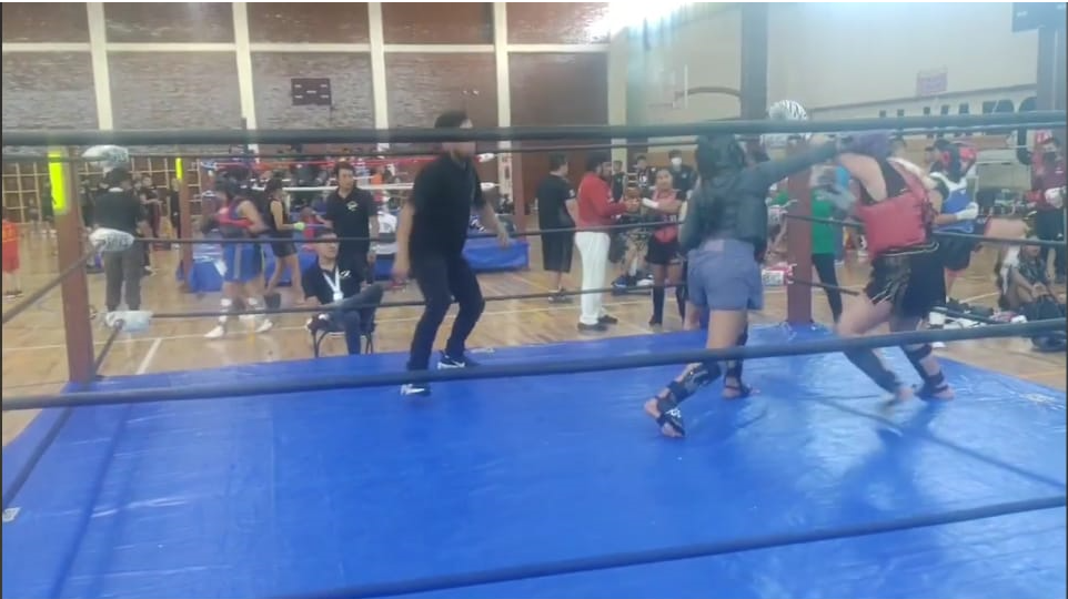 Liga de Artes Marciales Mixtas Acapulco