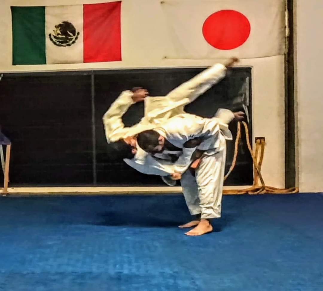 Liga de Artes Marciales Mixtas Acapulco