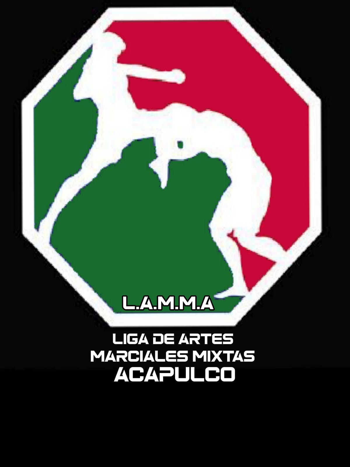 Liga de Artes Marciales Mixtas Acapulco