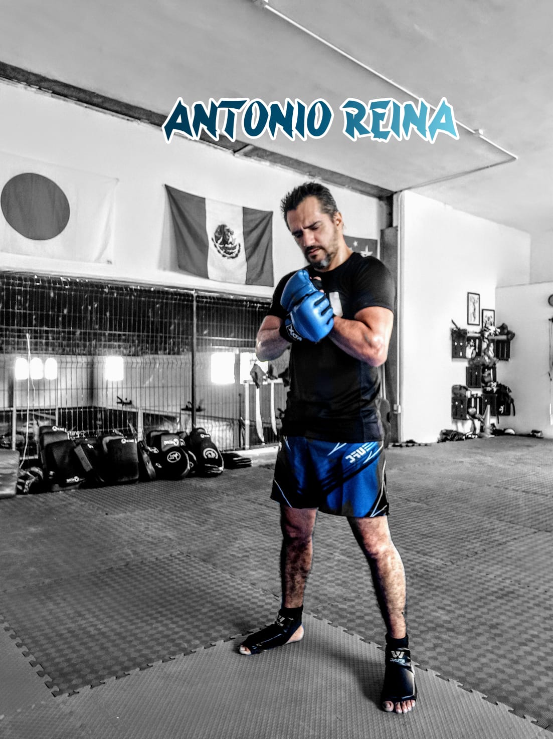 Reina