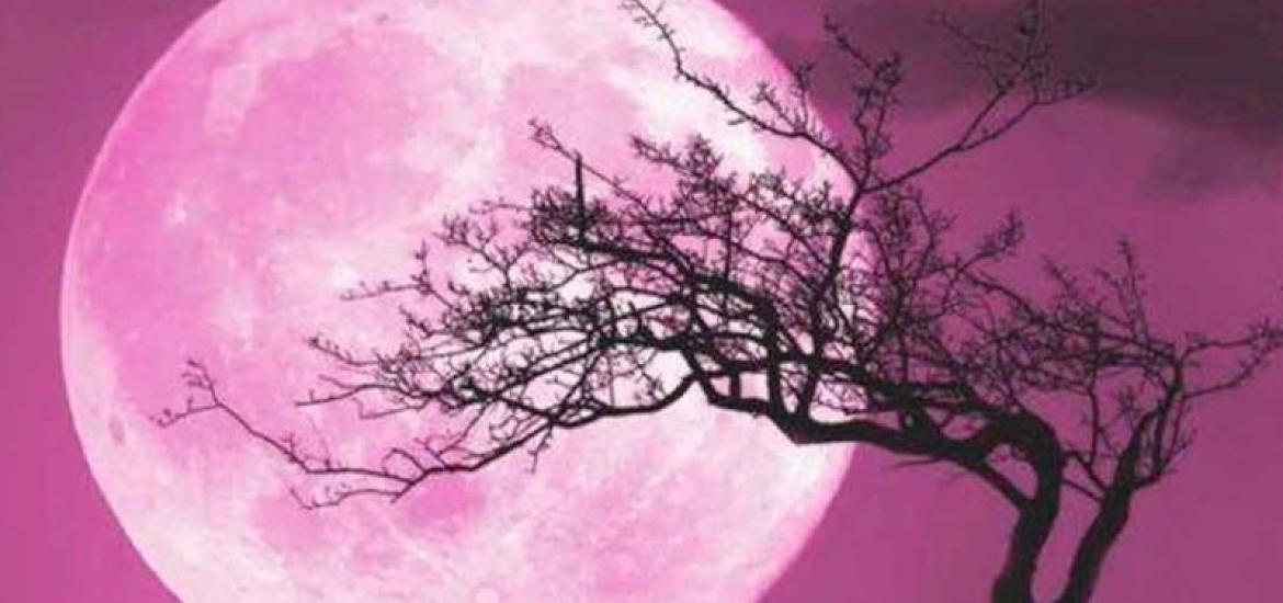 Luna rosa