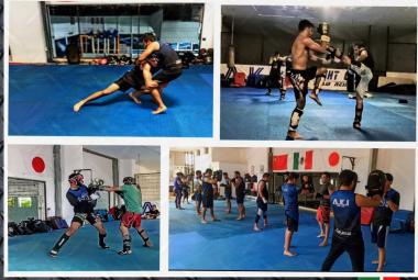 MMA